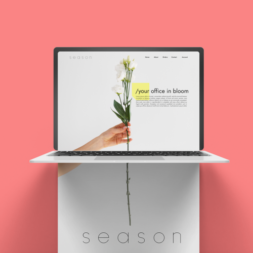 Season-web
